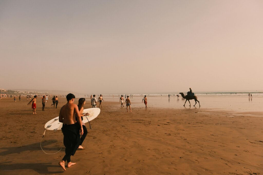 People enjoy a sunny day at the beach with surfing and camel riding.